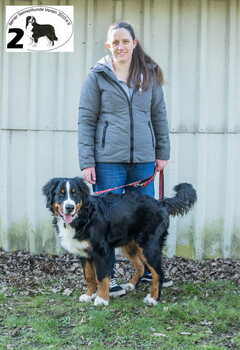 Cooper vom Steinkoppel